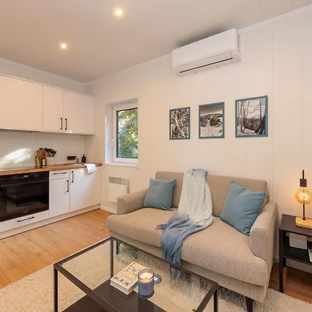 公寓 Hygge Tiny House 1 - Brandenburg